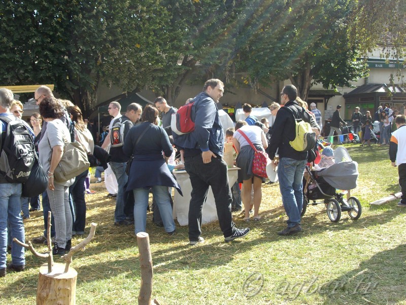 Fete médievale Brie Comte Robert