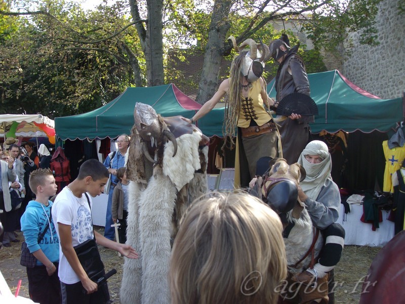 Fete médievale Brie Comte Robert