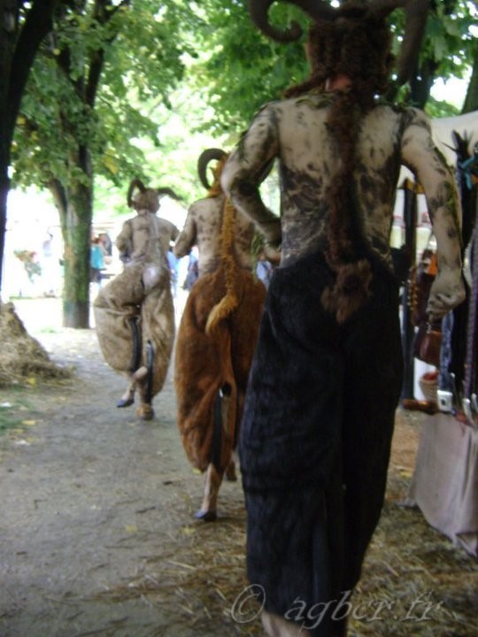 Fete médievale Brie Comte Robert