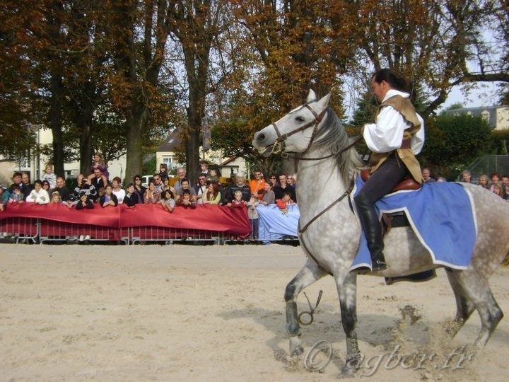 Fete médievale Brie Comte Robert