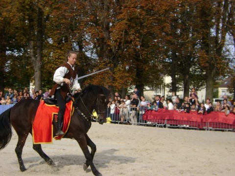 Fete médievale Brie Comte Robert