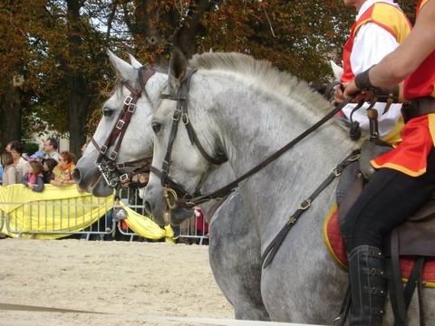 Fete médievale Brie Comte Robert