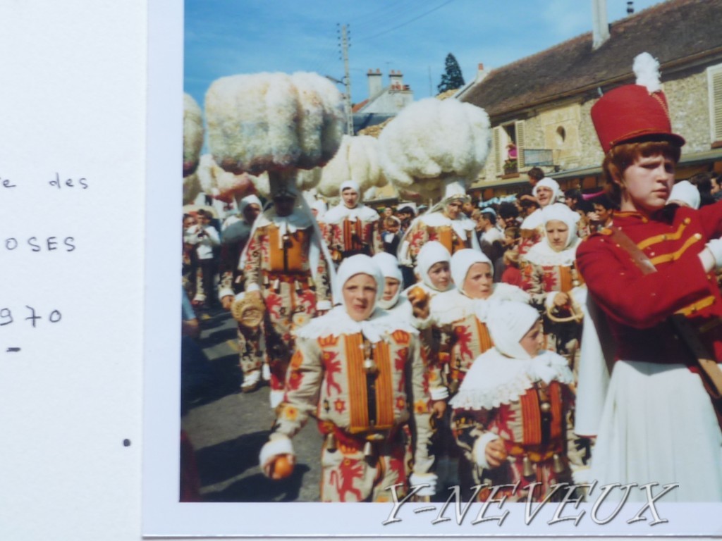 Fête des roses