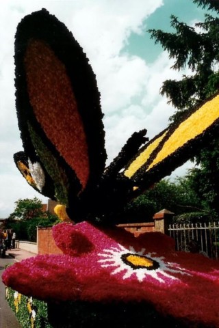 Fête des roses