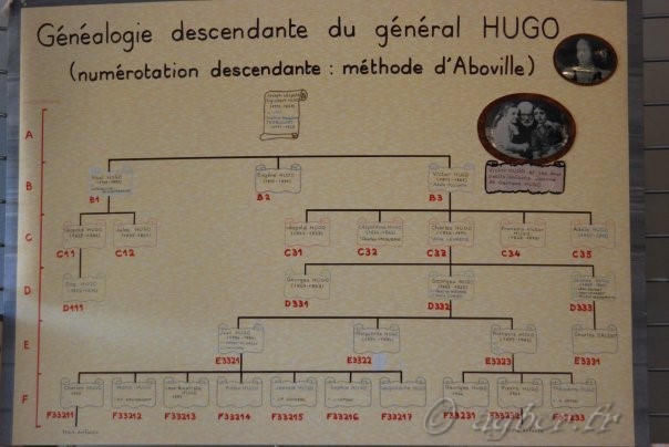 arbre de Victor Hugo