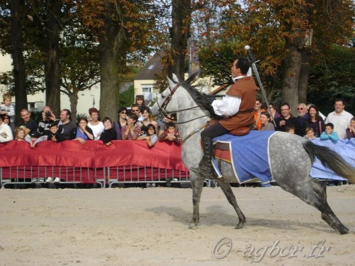 Fete médievale Brie Comte Robert