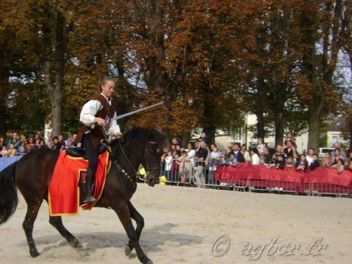 Fete médievale Brie Comte Robert